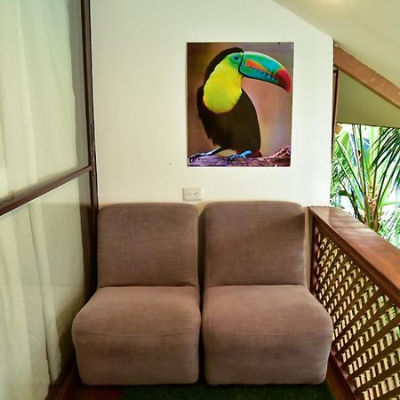 Los Amigos Hostel Flores Dış mekan fotoğraf
