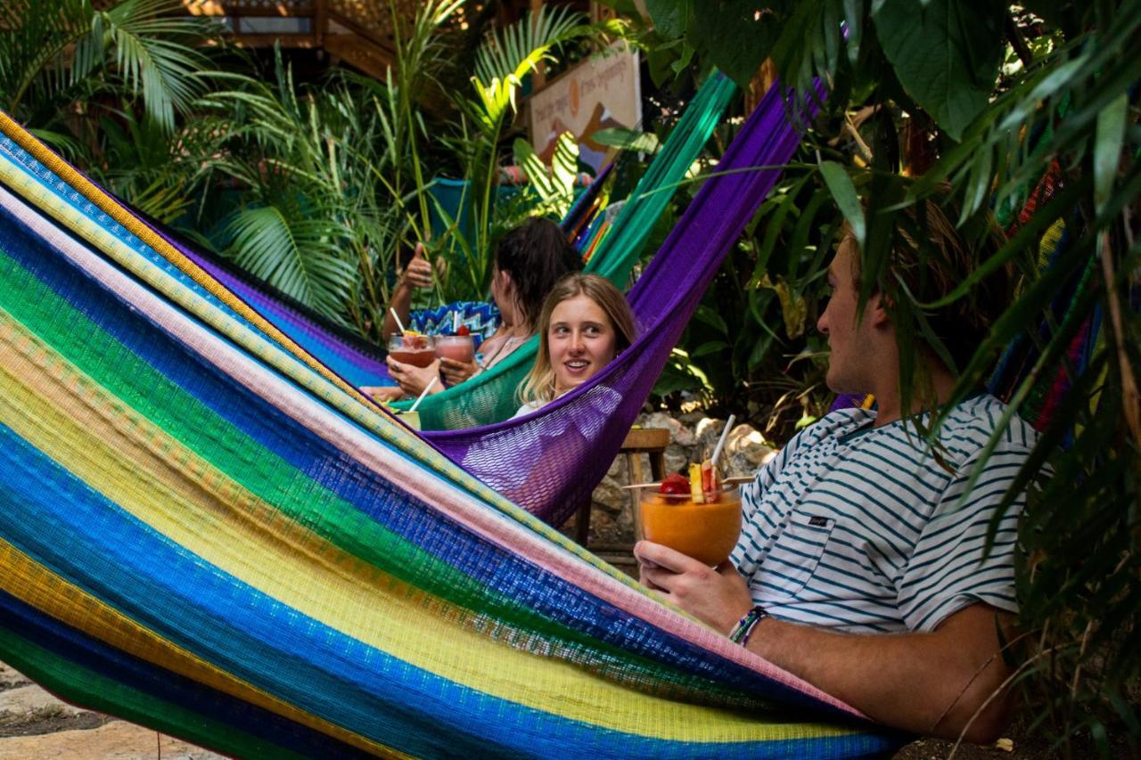 Los Amigos Hostel Flores Dış mekan fotoğraf