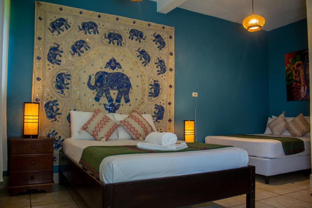 Los Amigos Hostel Flores Oda fotoğraf