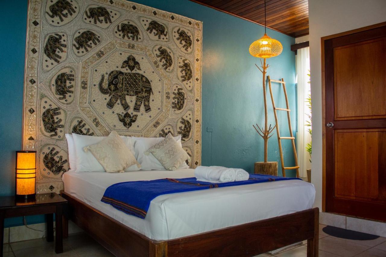Los Amigos Hostel Flores Oda fotoğraf