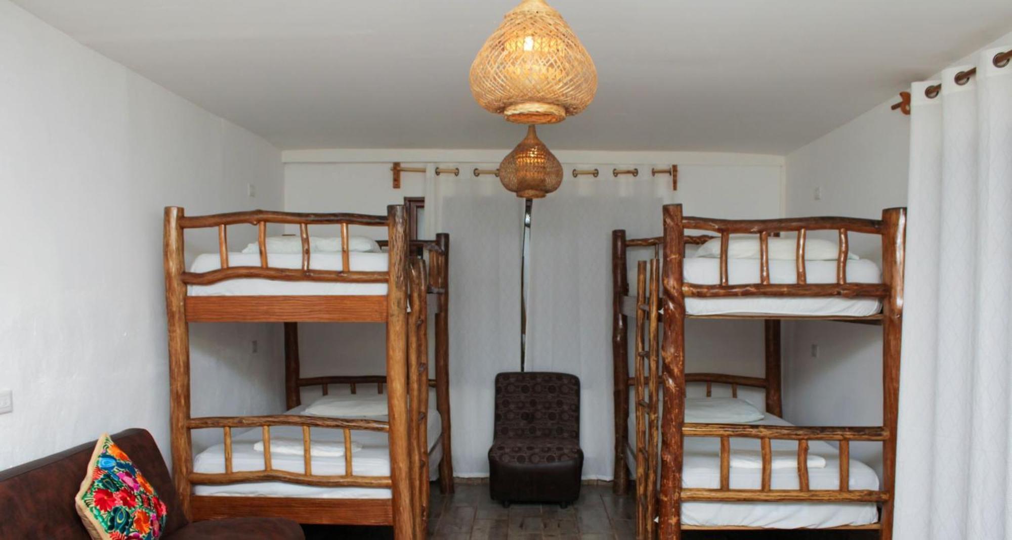 Los Amigos Hostel Flores Oda fotoğraf