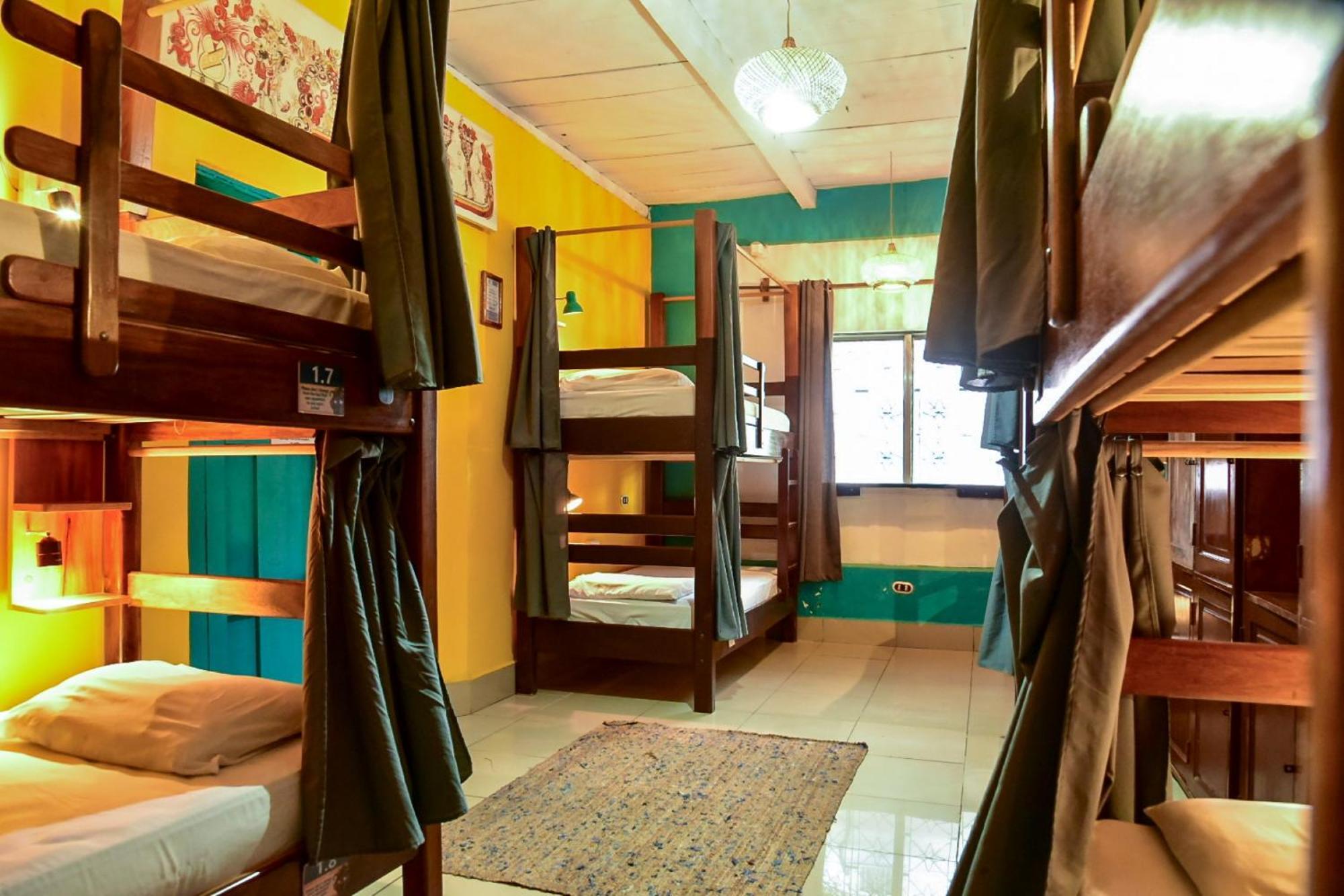 Los Amigos Hostel Flores Oda fotoğraf