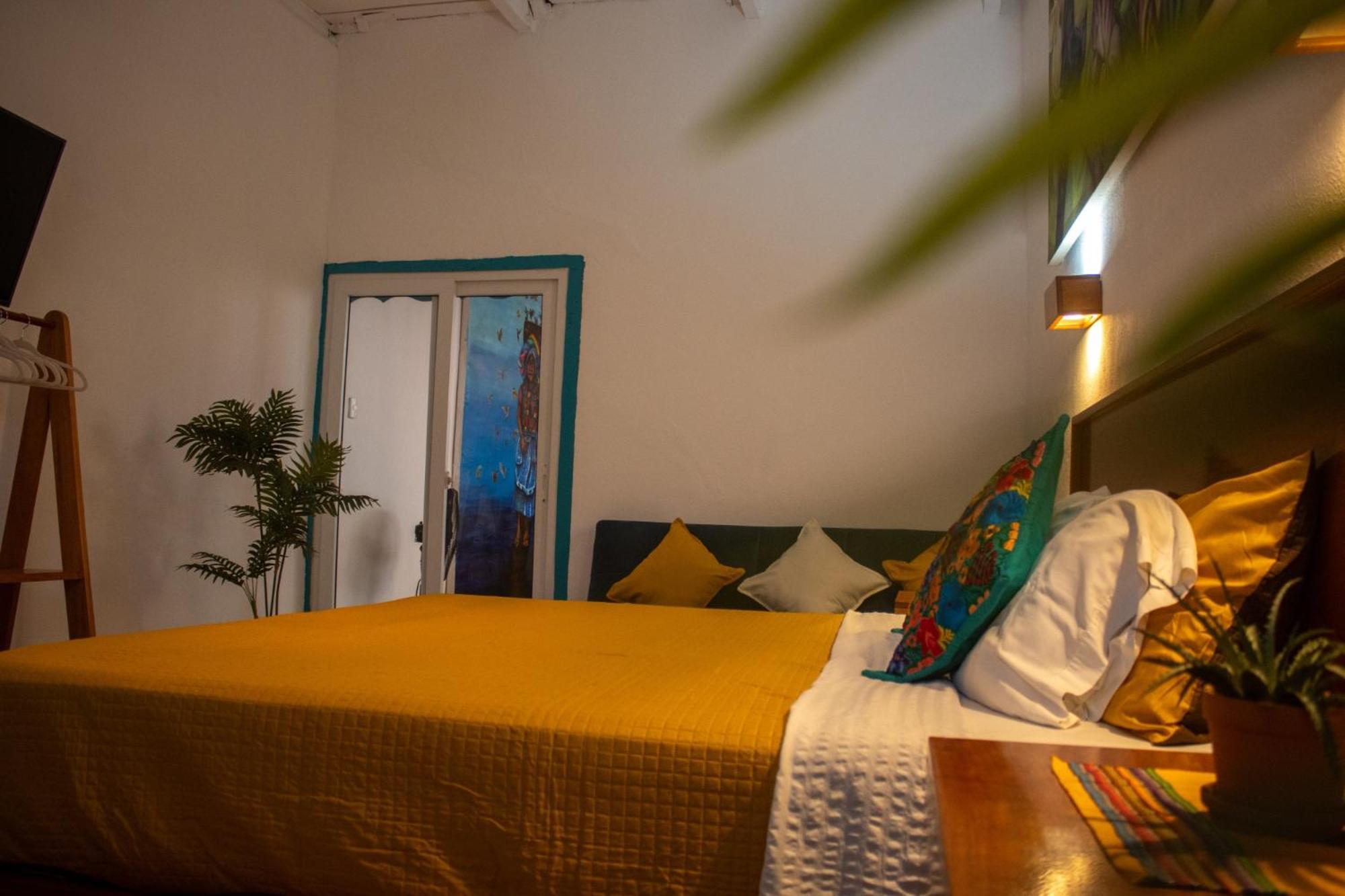Los Amigos Hostel Flores Oda fotoğraf